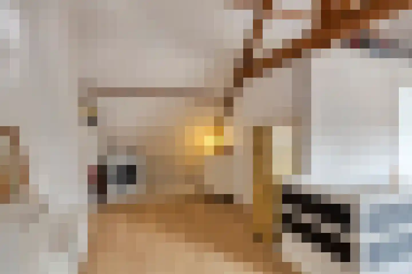 Megenstraat 29 Arnhem thumbnail 45