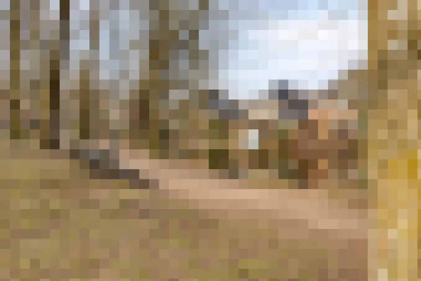 Megenstraat 29 Arnhem thumbnail 50