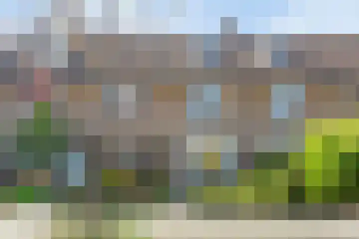 Megenstraat 30 Arnhem thumbnail 32