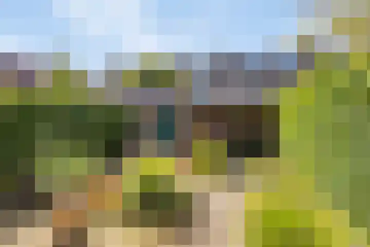 Megenstraat 30 Arnhem thumbnail 8