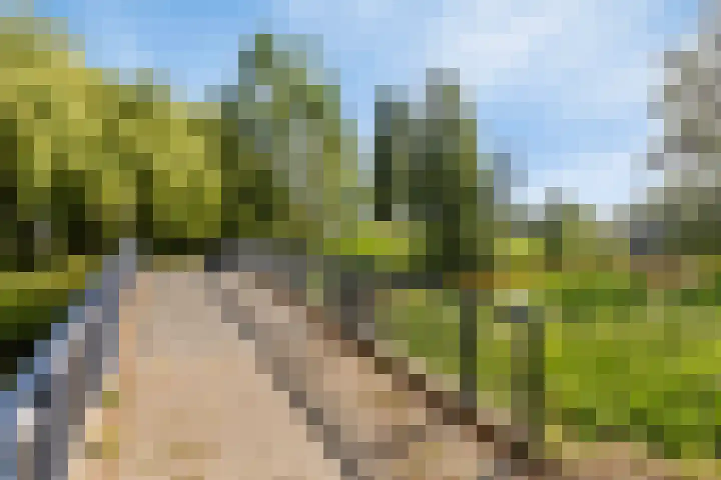 Megenstraat 48 Tilburg thumbnail 54