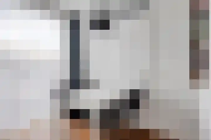 Megenstraat 54 Tilburg thumbnail 13