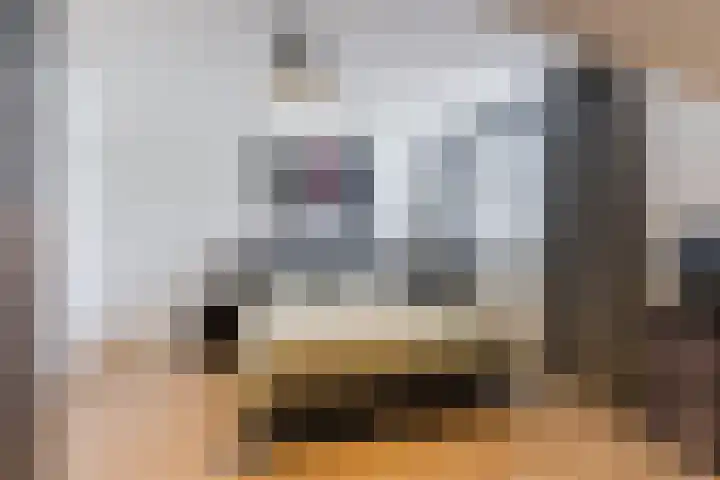 Megenstraat 67 Tilburg thumbnail 16