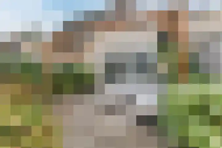 Megenstraat 67 Tilburg thumbnail 33