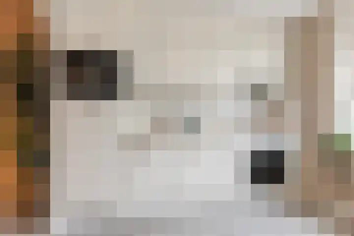 Megenstraat 77 Tilburg thumbnail 9