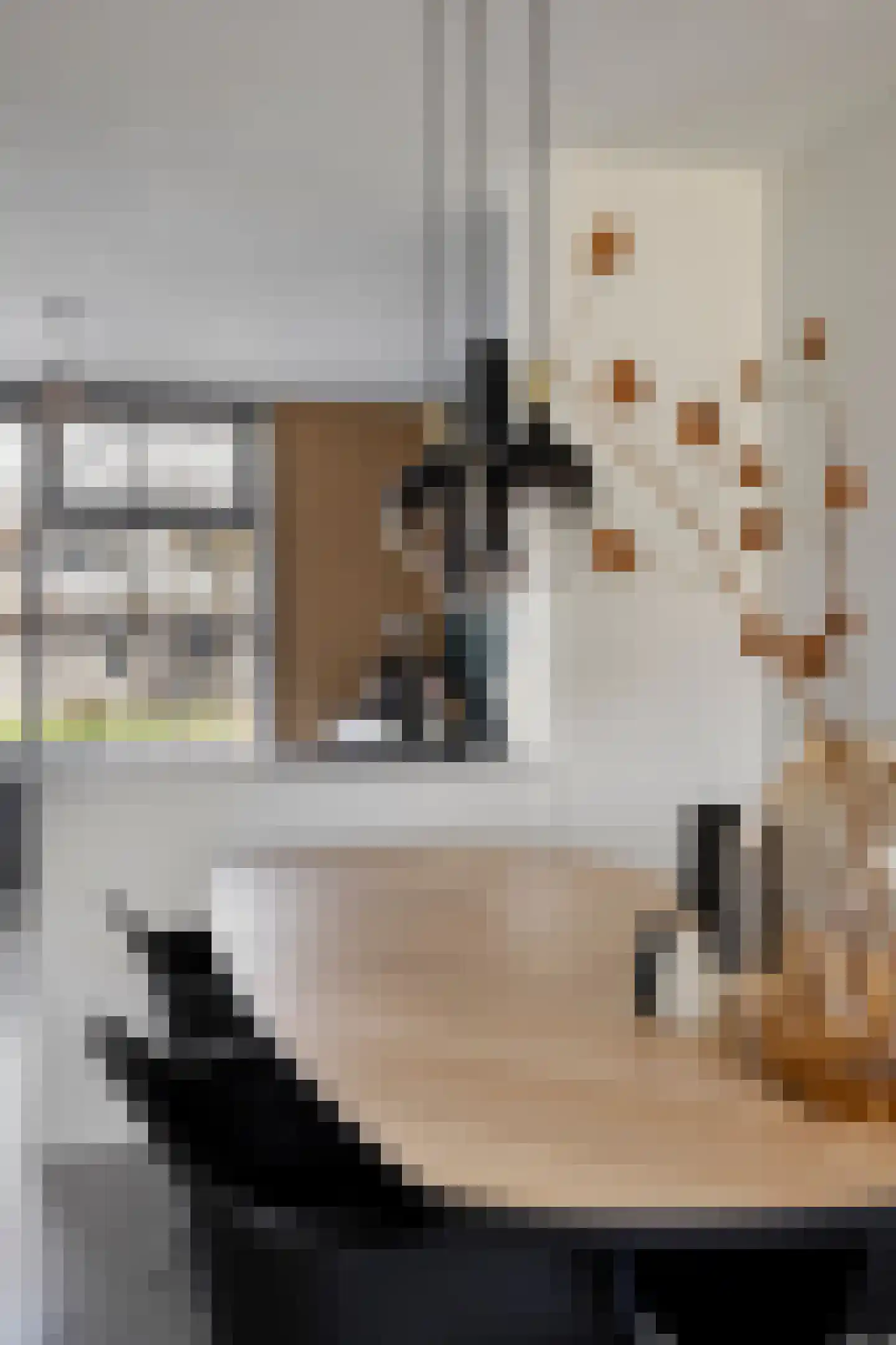 Megenstraat 83 Tilburg thumbnail 21