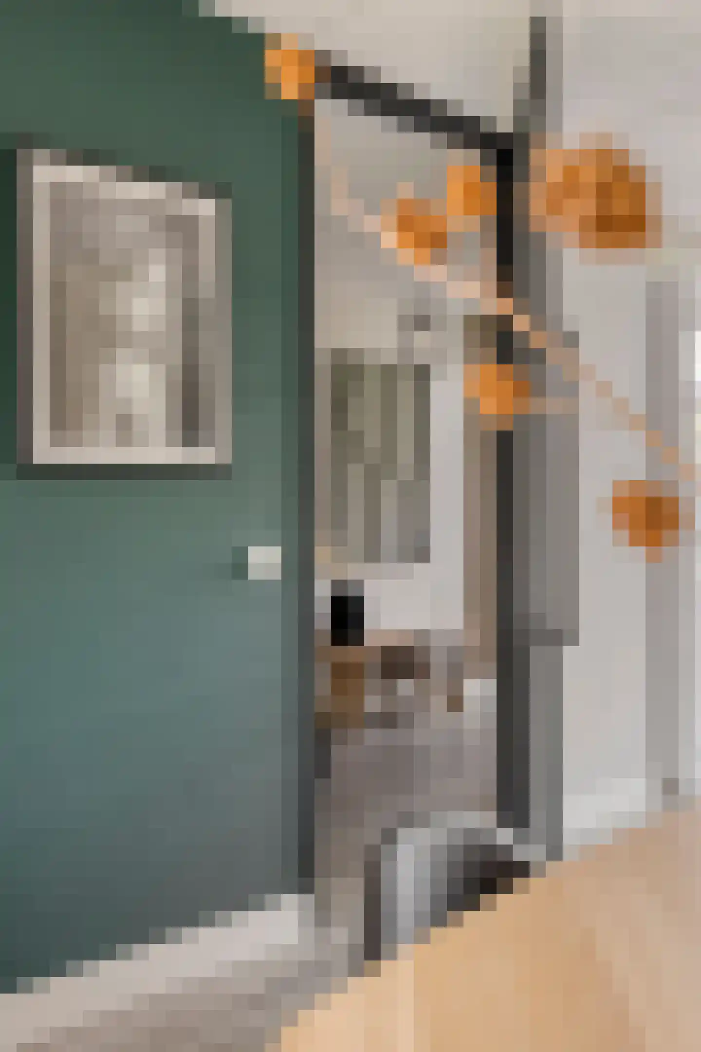 Megenstraat 83 Tilburg thumbnail 23
