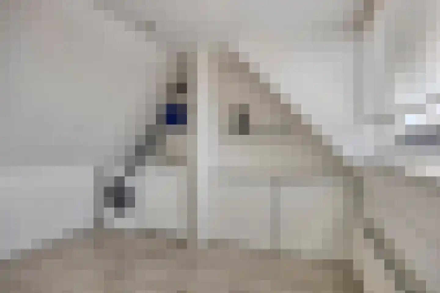 Megenstraat 83 Tilburg thumbnail 32