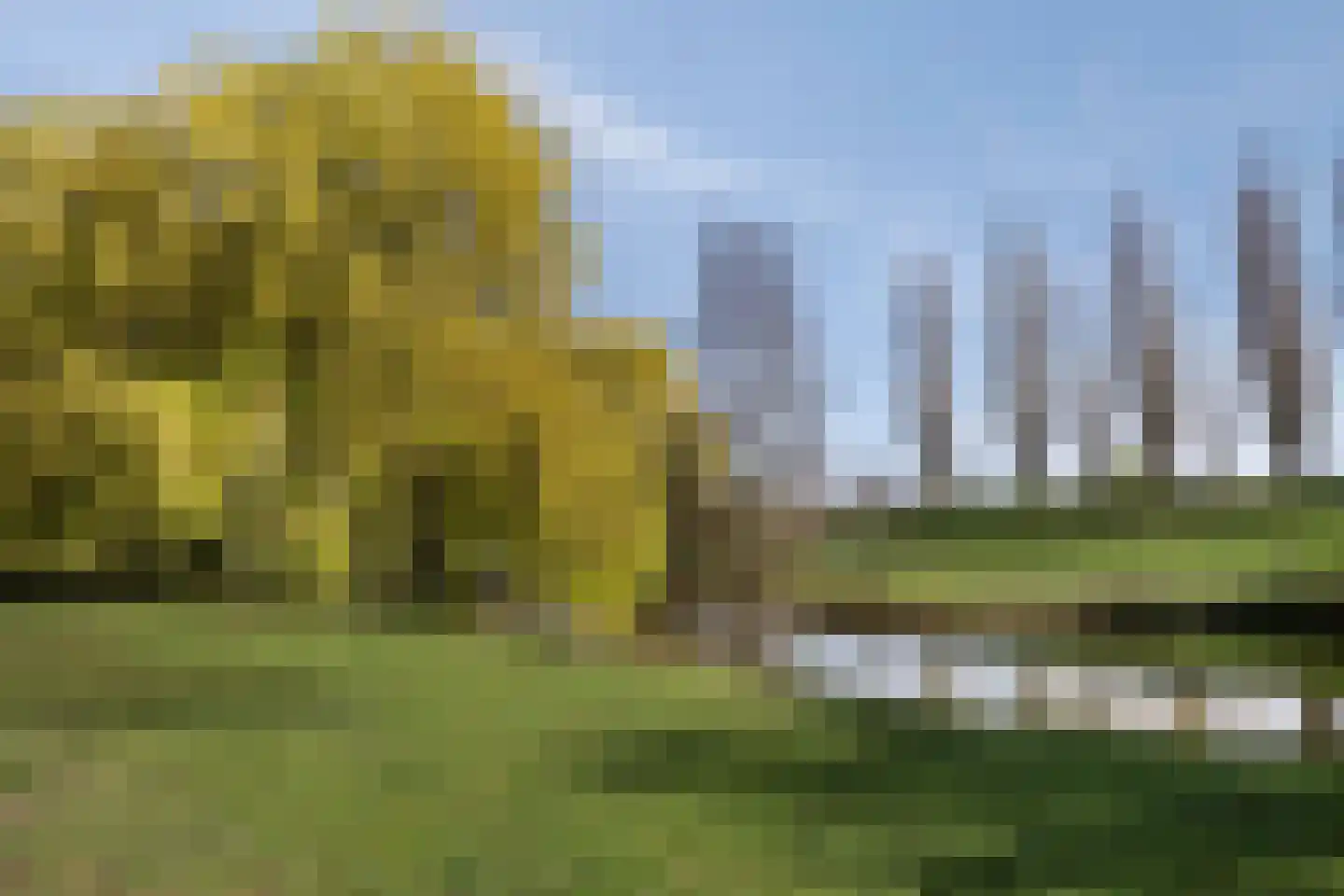 Megenstraat 83 Tilburg thumbnail 38