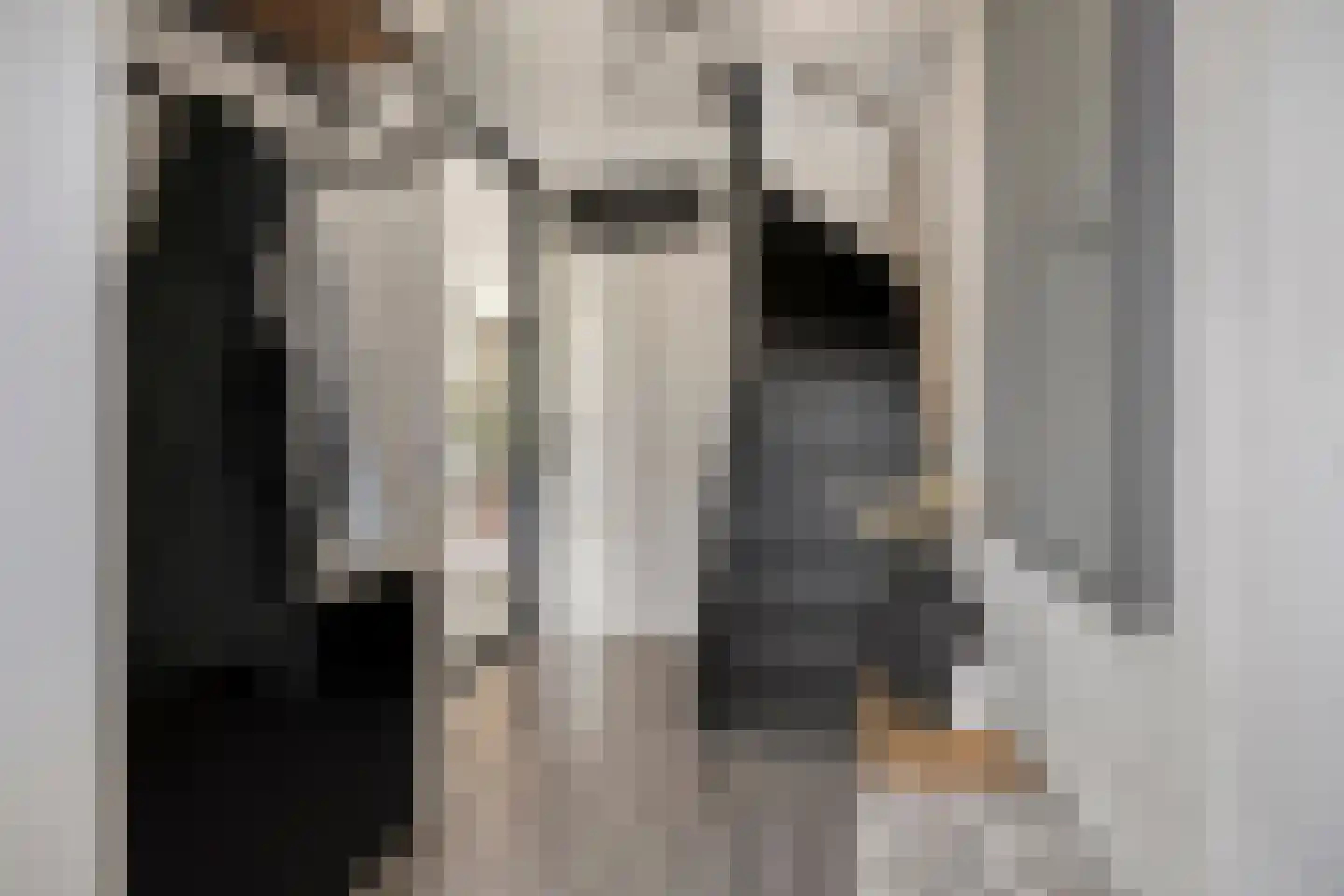Megenstraat 83 Tilburg thumbnail 9