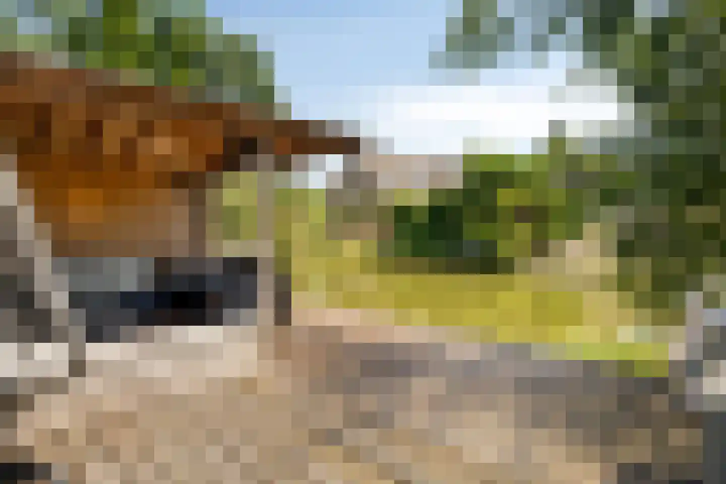 Meibeek 14 Tilburg thumbnail 30