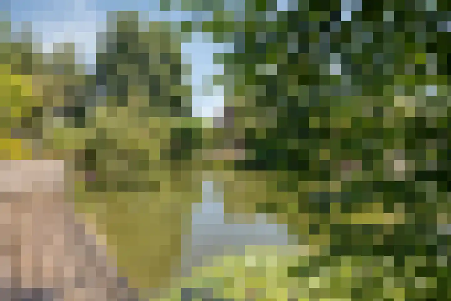 Meibeek 14 Tilburg thumbnail 33