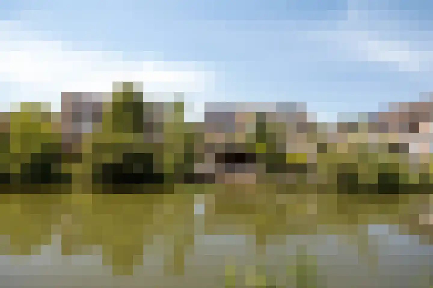 Meibeek 14 Tilburg thumbnail 34