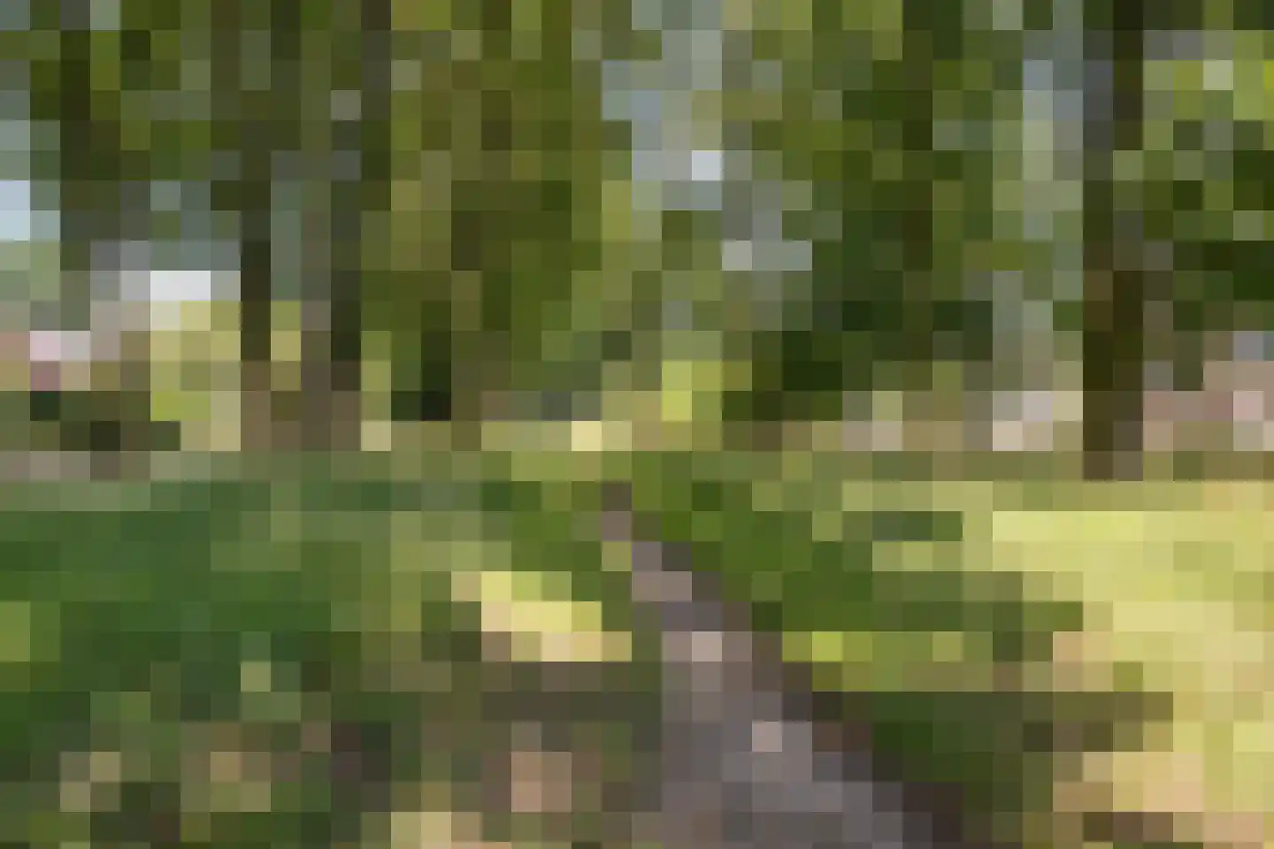 Meibeek 14 Tilburg thumbnail 35