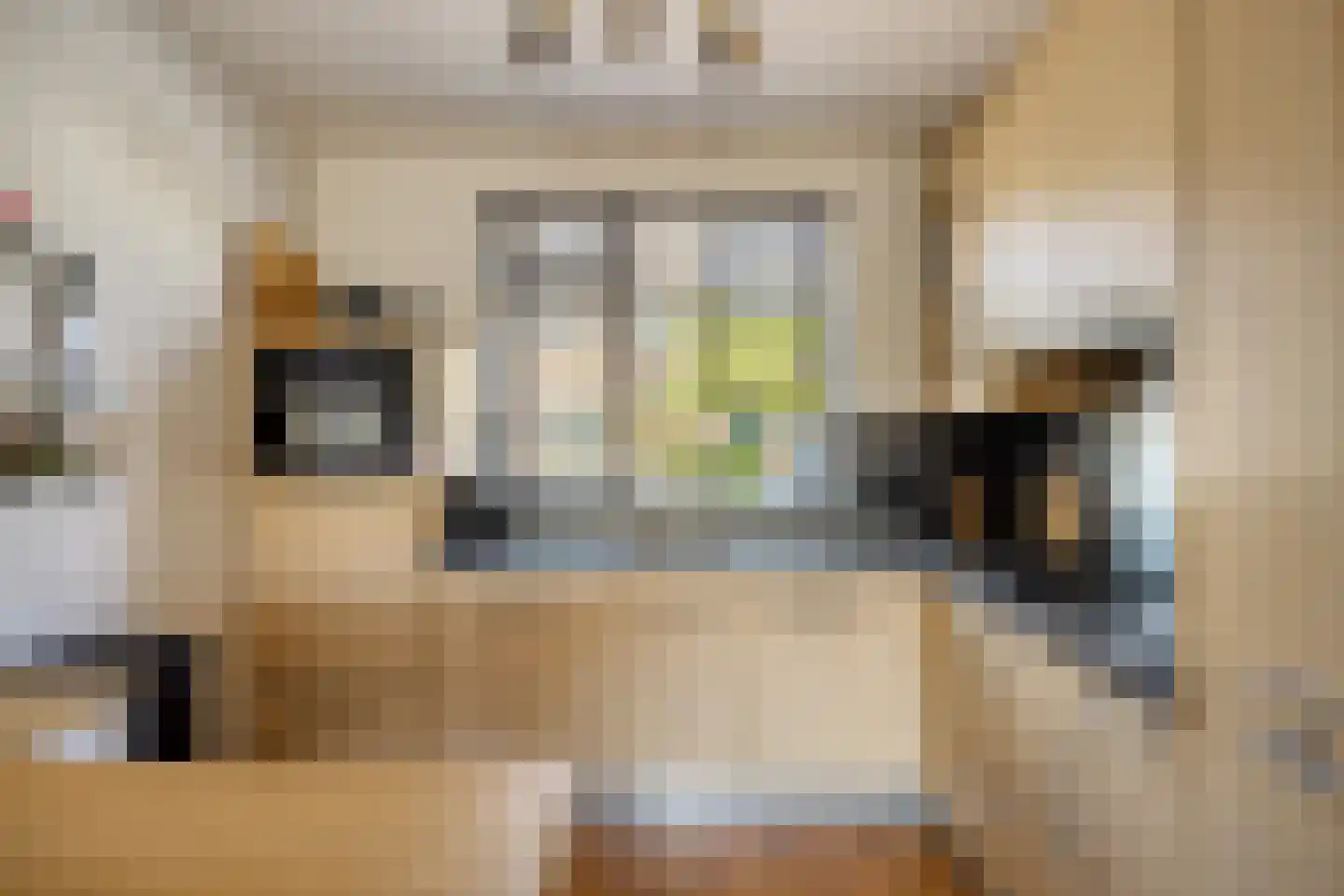 Meibeek 14 Tilburg thumbnail 9