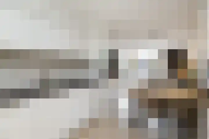 Meiberg 21 Heeten thumbnail 12