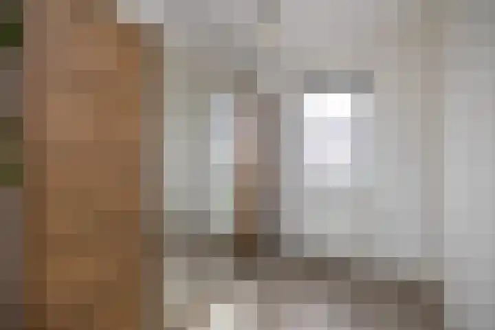 Meiberg 21 Heeten thumbnail 16