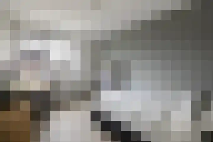 Meiberg 21 Heeten thumbnail 17