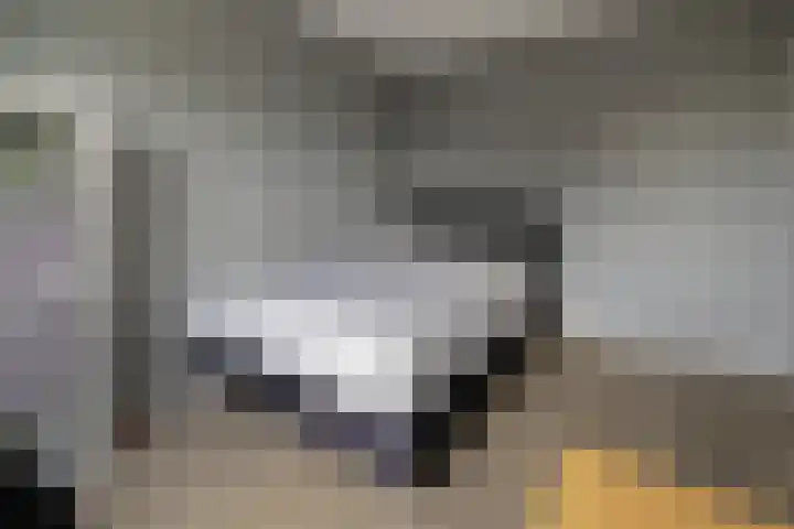 Meiberg 21 Heeten thumbnail 18