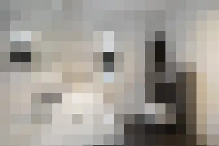 Meiberg 21 Heeten thumbnail 21