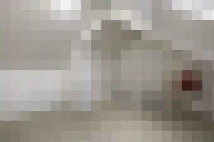 Meiberg 21 Heeten thumbnail 22