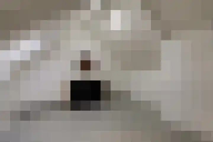 Meiberg 21 Heeten thumbnail 23