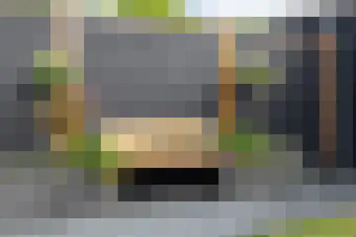 Meiberg 21 Heeten thumbnail 30