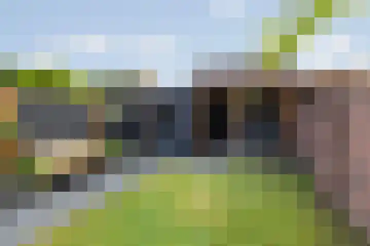 Meiberg 21 Heeten thumbnail 32