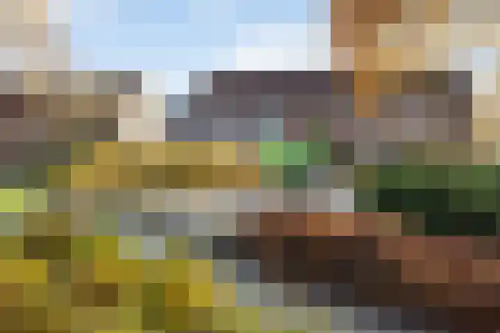 Meiberg 21 Heeten thumbnail 33