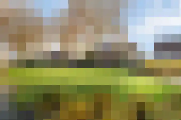 Meiberg 21 Heeten thumbnail 4