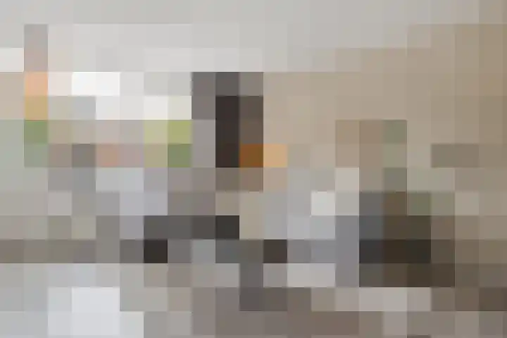 Meiberg 21 Heeten thumbnail 5