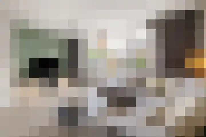 Meiberg 21 Heeten thumbnail 6