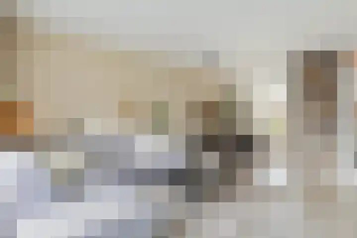 Meiberg 21 Heeten thumbnail 7