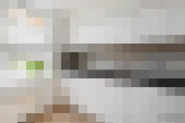 Meiberg 21 Heeten thumbnail 9