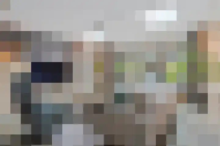 Meiberg 29 Heeten thumbnail 14