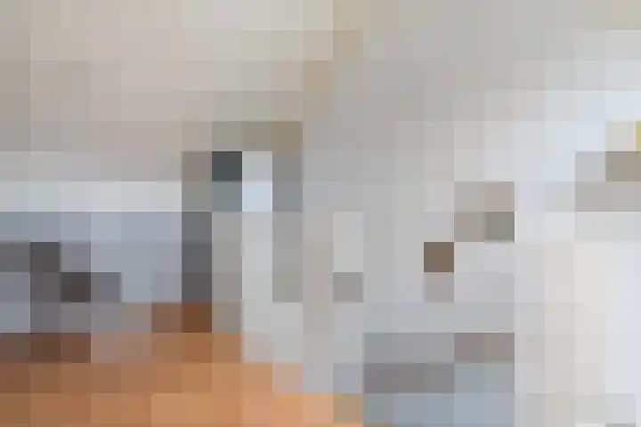 Meiberg 29 Heeten thumbnail 32
