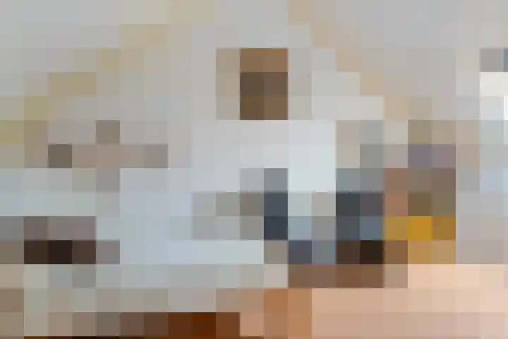 Meiberg 29 Heeten thumbnail 33