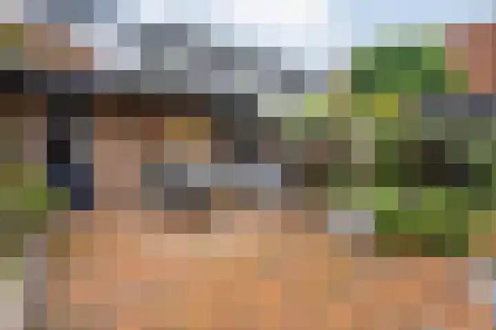 Meiberg 29 Heeten thumbnail 37