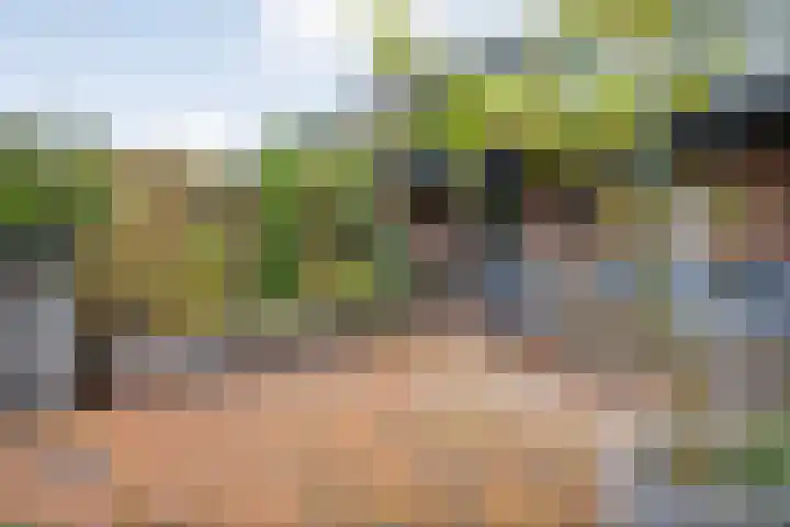 Meiberg 29 Heeten thumbnail 38