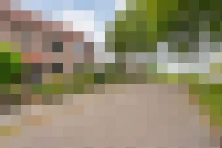 Meiberg 29 Heeten thumbnail 5