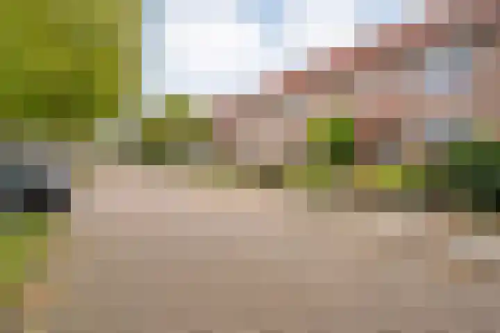 Meiberg 29 Heeten thumbnail 6