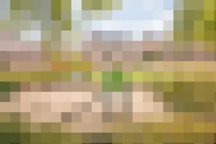 Meiberg 29 Heeten thumbnail 7