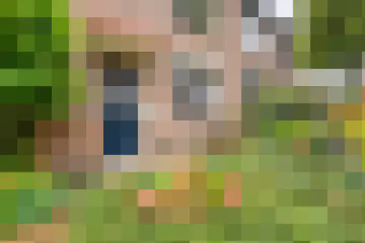 Meiberg 29 Heeten thumbnail 8
