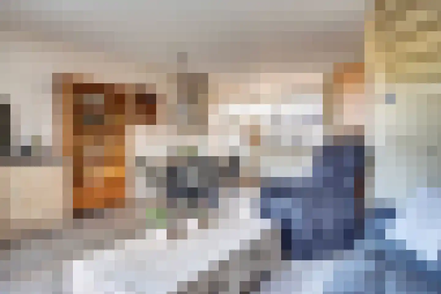 Meibloem 16 Opmeer thumbnail 13