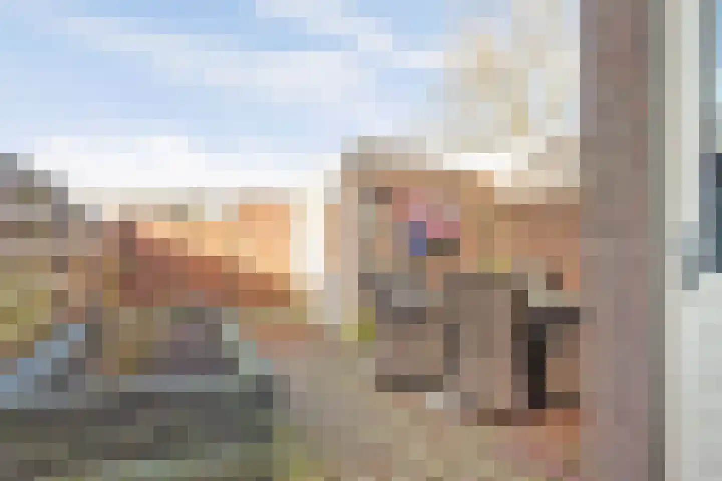Meibloem 16 Opmeer thumbnail 36