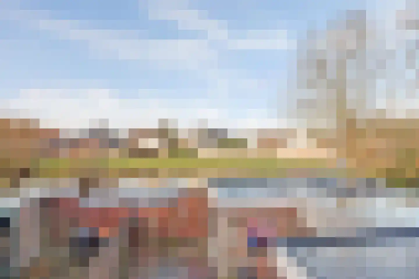 Meibloem 16 Opmeer thumbnail 4