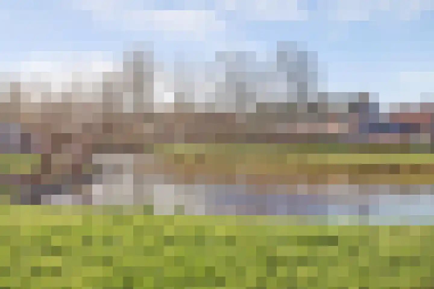 Meibloem 16 Opmeer thumbnail 41