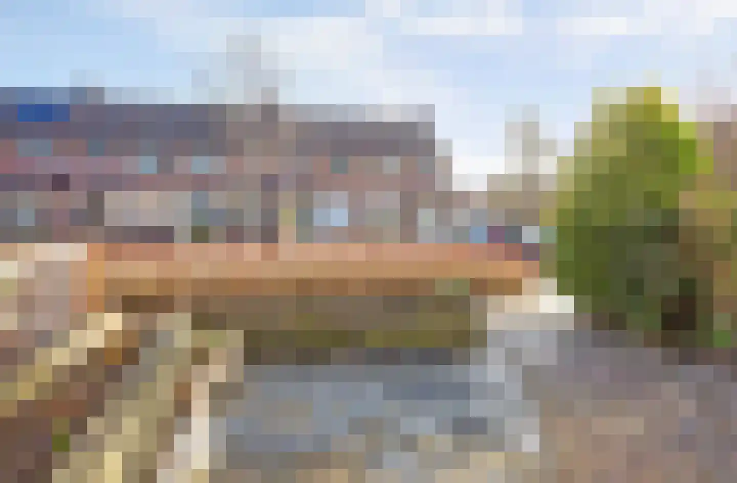 Meibloem 16 Opmeer thumbnail 43