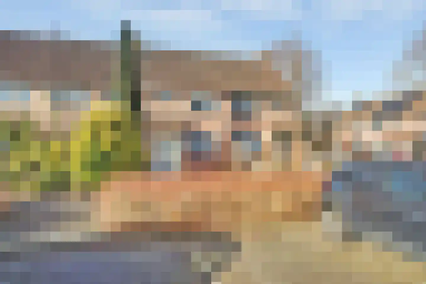 Meibloem 16 Opmeer thumbnail 45