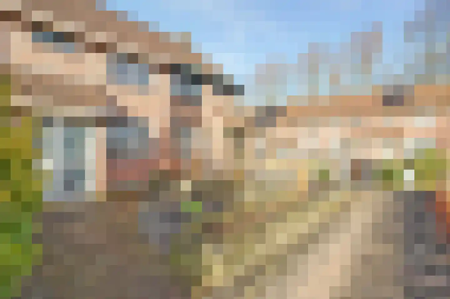 Meibloem 16 Opmeer thumbnail 46